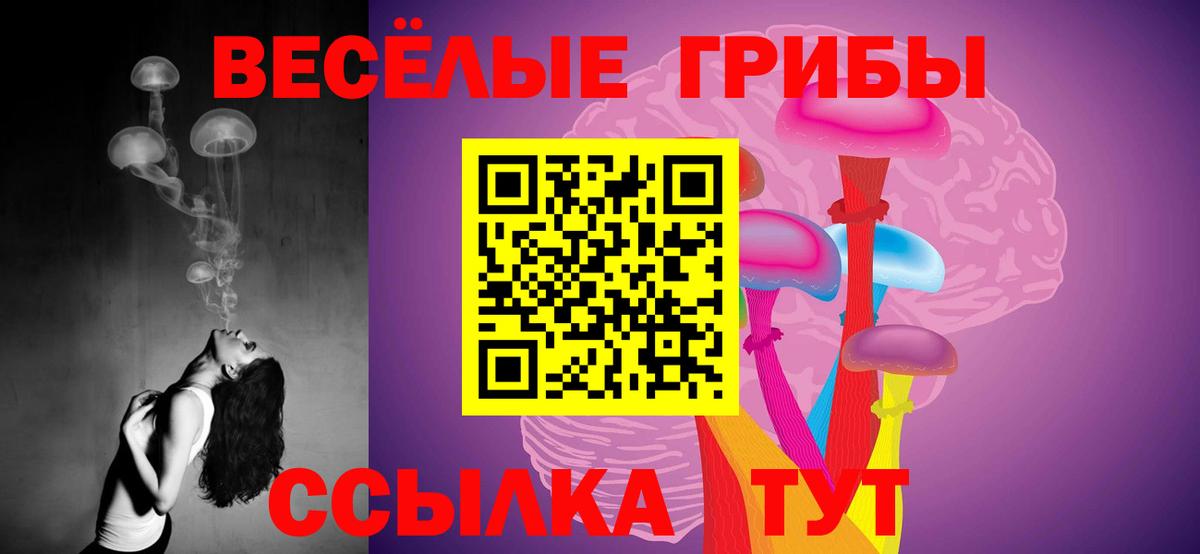 Псилоцибиновые грибы мицелий Севастополь