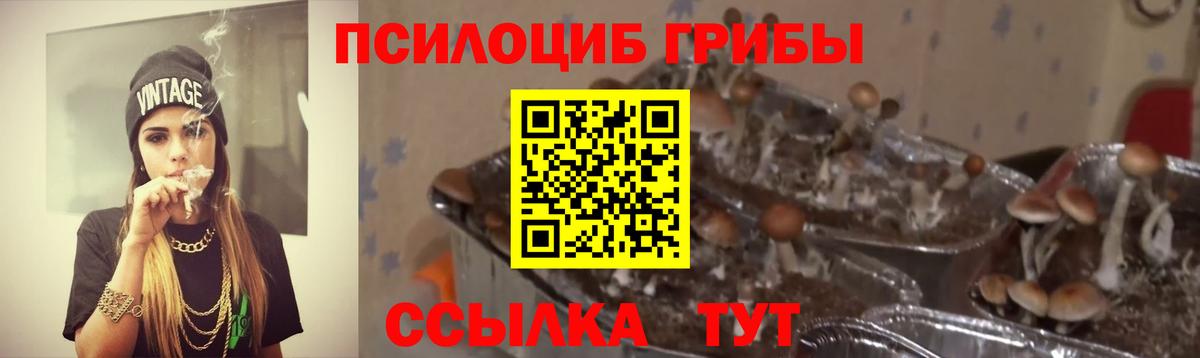 Севастополь  Псилоцибиновые грибы Psilocybine cubensis  Галлюциногенные грибы ЛСД  Вход с VPN 